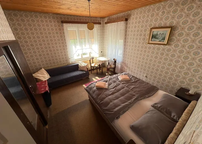 شقة Apartma Prisojnik كْرانْيِسكا غورا